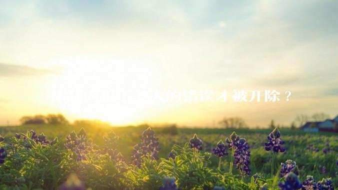 体制内犯了多大的错误才被开除?